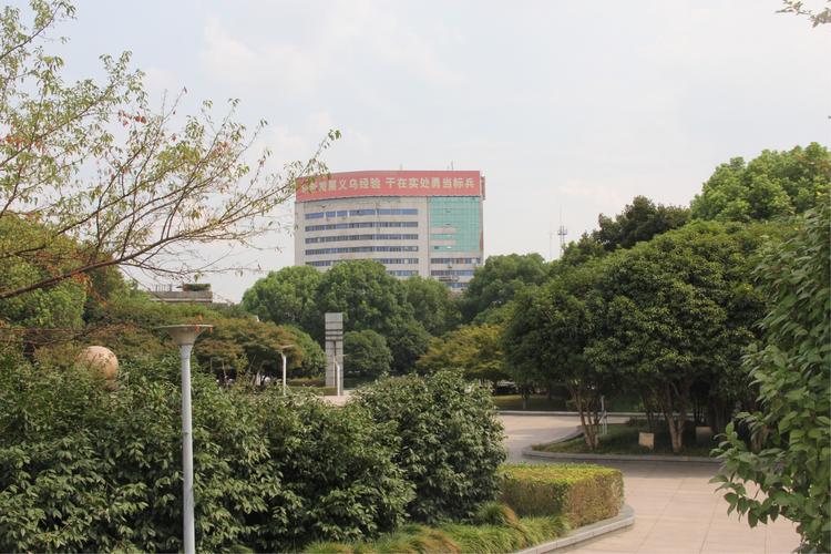 楼顶广告制作与发布全指南 从主题策划到落地执行